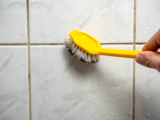 Professional Mold Removal in Lavonia, GA